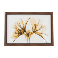 Framed Amaryllis Wall Art
