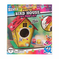 Scentos Scented PYO Birdhouse Activity Set