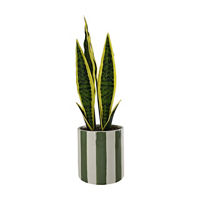 Artificial Snake Plant in Striped Pot, 18 in