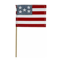 Patriotic Stars & Stripes Mini Canvas Flag, 11