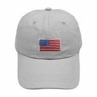 Patriotic Flag Print Cap