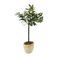 Artificial Potted Olive Tree, 32 in