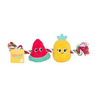 Fruit Rope Dog Toy