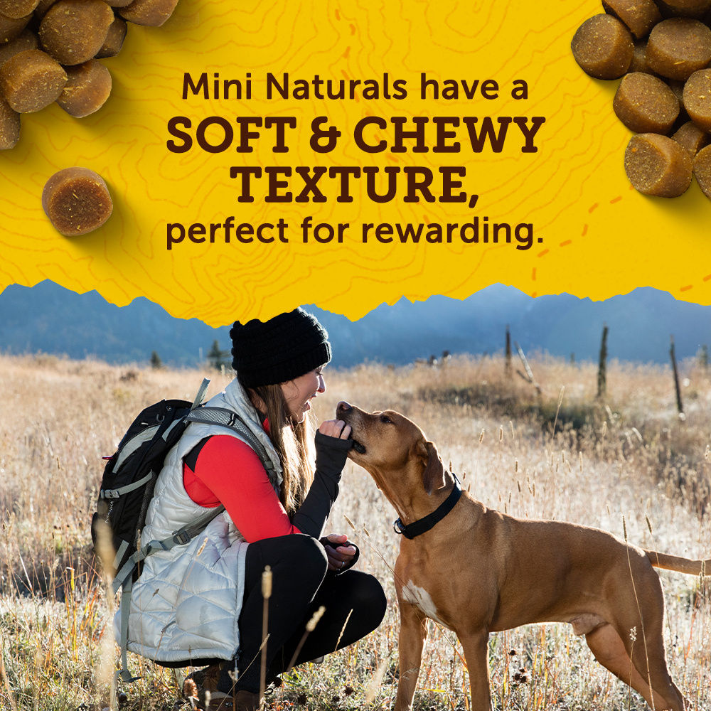 Zuke’s Mini Naturals Dog Training Treats for Dogs of All Sizes, Pet Treats made with Real Peanut Butter
