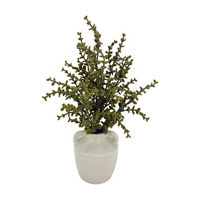 Summer Olive Greenery Artificial Plant in Cream Ceramic Pot