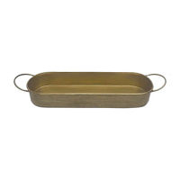 Summer Gold Metal Small Long Decorative Tray