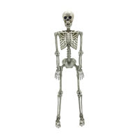 Halloween White Plastic Poseable Skeleton, 60 in