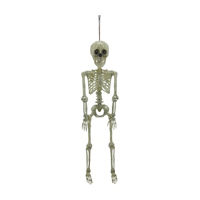 Halloween Light-Up Poseable Skeleton, 36 in