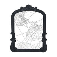 Ornate Black Spider Web Mirror