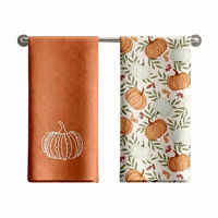 Fall Multi-Color Embroidered Pumpkin Kitchen Towels, 2 pk