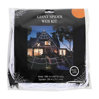 Large Spider Web