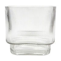 Clear Oblong Shape Glass Vase