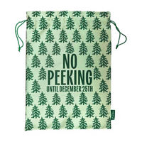 Christmas Green "No Peeking" Gift Bag