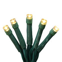 Holiday Style LED Warm White Green Wire String Lights, 30 ct, 12.5 ft