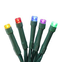 Holiday Style LED Multicolor Green Wire String Lights, 30 ct, 12.5 ft