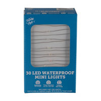 Holiday Style LED Waterproof Multicolor Mini Lights, 10