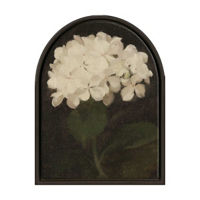 Framed Arch Canvas of White Hydrangea, 13.25x17.25 in