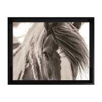 Framed Art of Horse Closeup, 13.88x10.88x1.5 in