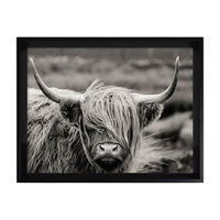 Framed Art of Highland Cow, 13.88x10.88x1.5 in