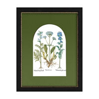 Blue Botanical Framed Art with Arched Mat, 11x14 in