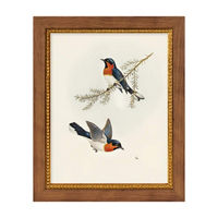 Pair of Robin Birds Framed Art, 8.5x10.5 in
