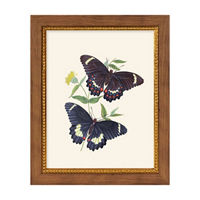 Blue Butterflies with Botanical Framed Art