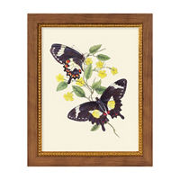 Black Butterflies with Botanical Framed Art