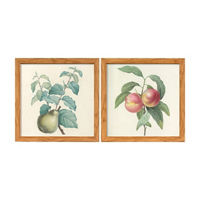 Framed Art Set of Pear and Peach Botanicals, 2 pc