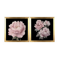 Framed Art Set of Pink Peonies, 2 pc
