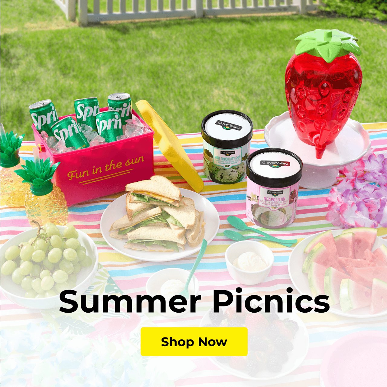 Summer Picnics