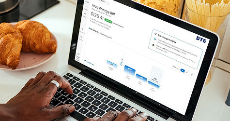 Image of person viewing bill analyzer on a laptop computer
