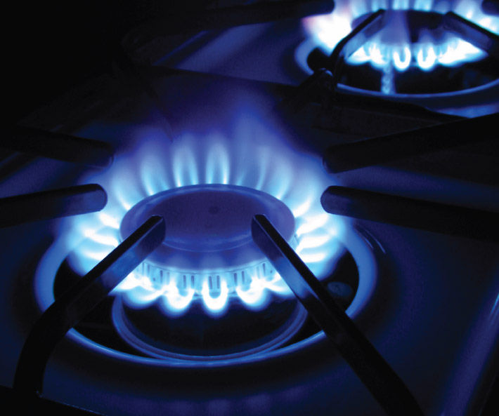 Compare Natural Gas Costs