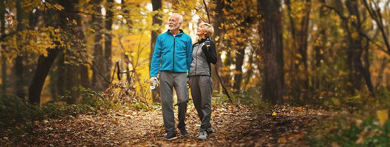 Senior couple walking through a forest of fallen leaves