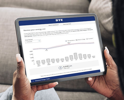 DTE energy usage data graph