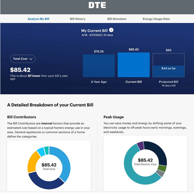 DTE bill management tools