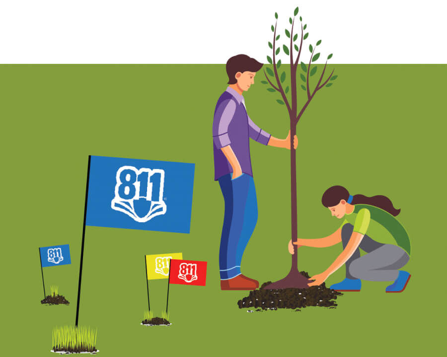 Illustration of two people planting a tree and several color flags on the grass with a large blue one that has 811