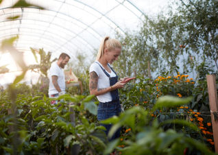 Woman and man working in a greenhouse