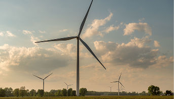 Windmill in a corn field