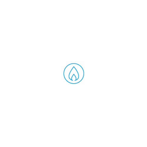 circle with flame inside icon
