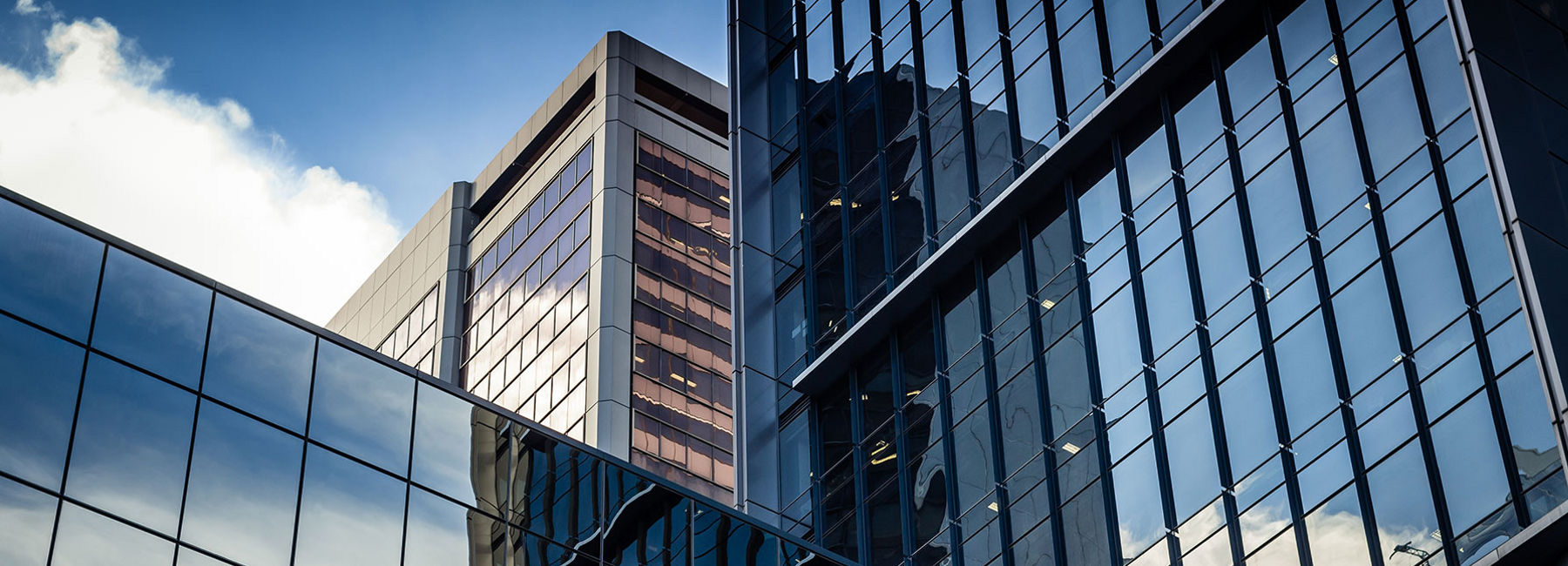 Swift and steady wins the race: $2B life insurance transformation | DXC Technology customer story