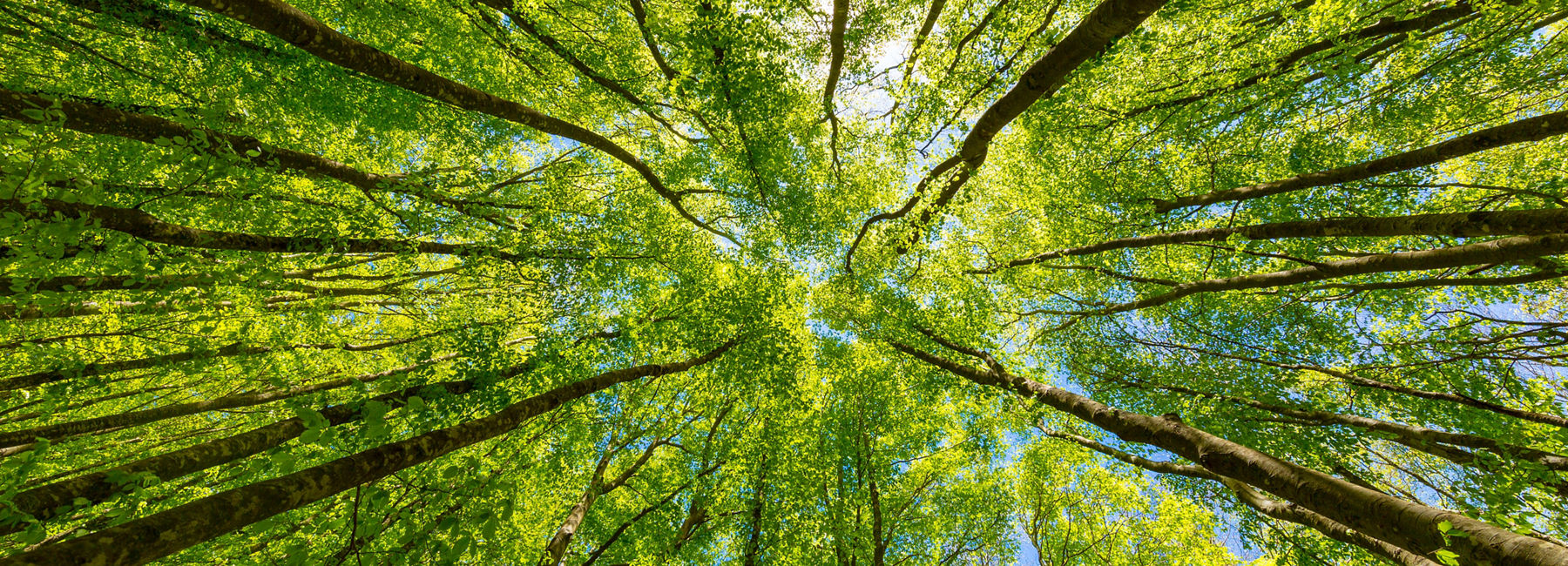 Insurer grows services and profitability moving from mainframe to DXC insurance platform on AWS | DXC Technology customer story