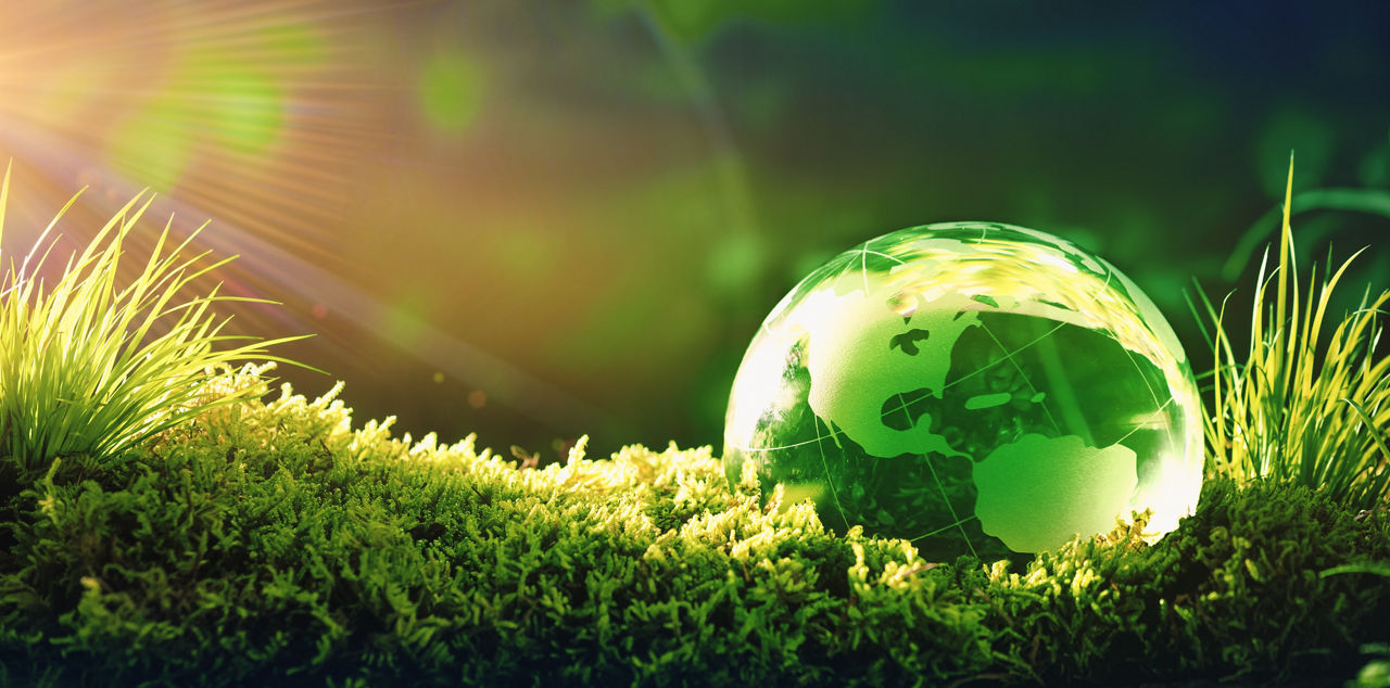 green image of the earth lying in grass, Dell Technologies | DXC Technology Insights