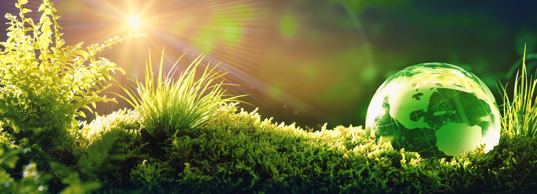 grassy area with a transparent ball showing the earth, Cloud & Infrastructure, Data & AI  | DXC Technology Insights