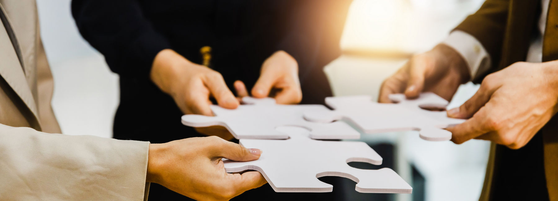 hands holding puzzle pieces