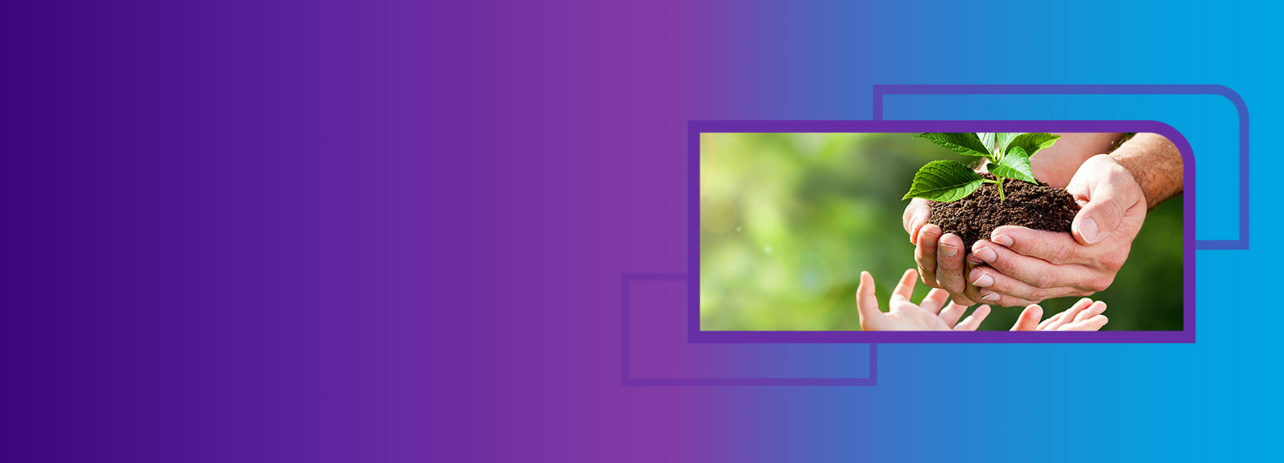 hands of child receiving plant from adult, Business process services: Life and wealth | DXC Technology