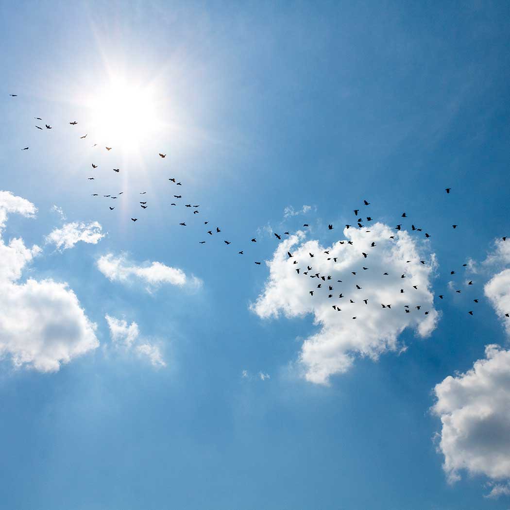 Cloud Advisory and Migration