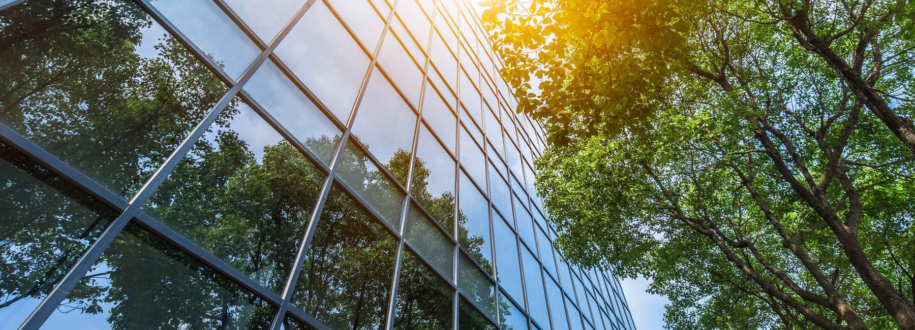 Digital transformation for one of Australia’s largest financial services organisations