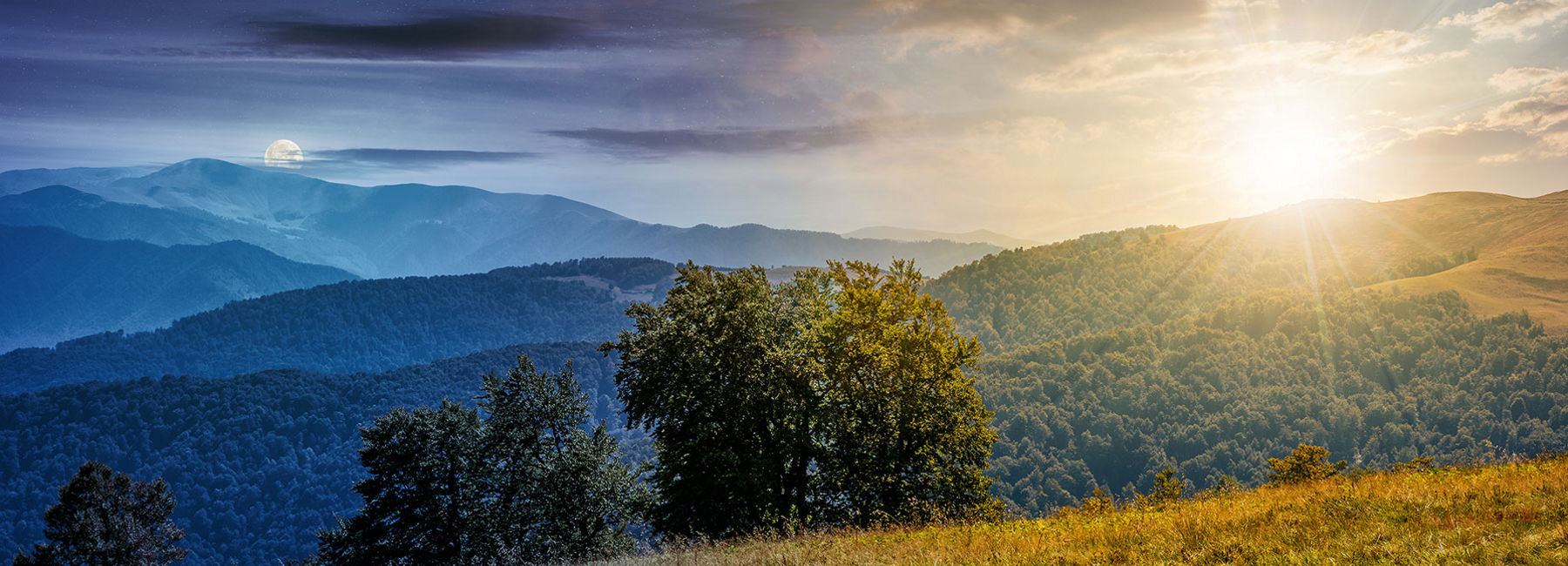 pastoral landscape | DXC Technology Insights