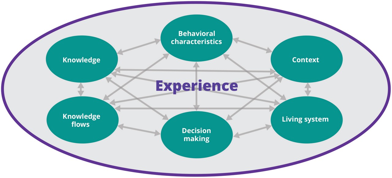 Chart of interconnected circles showing key constructs of expertise, Modern Workplace | DXC Technology