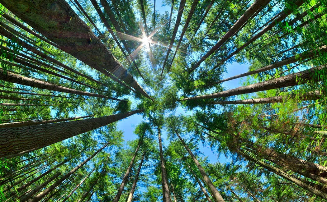 Reimagine with unique industry solutions